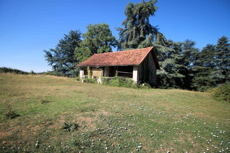 Réf. 1594 - 560.000 € – Image 22