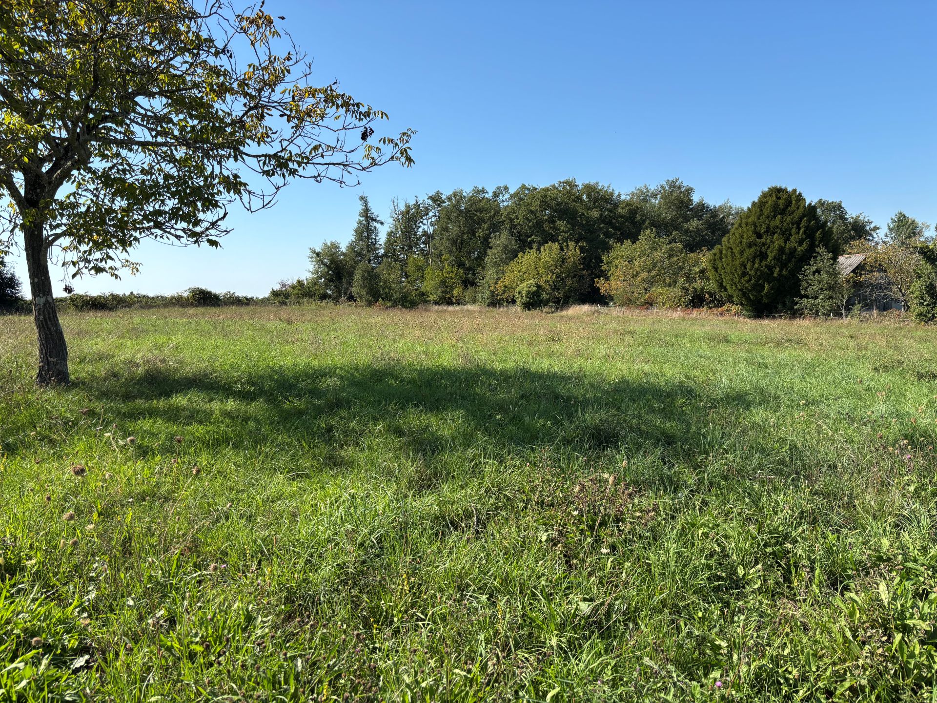 réf. 1613 - 45.000 € – Image 2