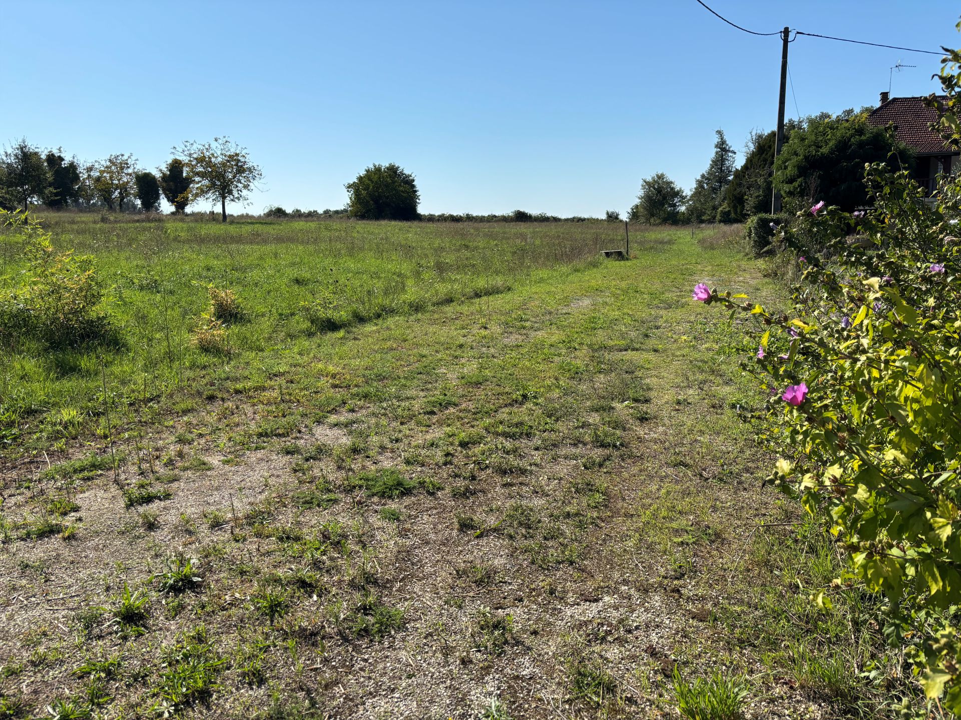 réf. 1613 - 45.000 €