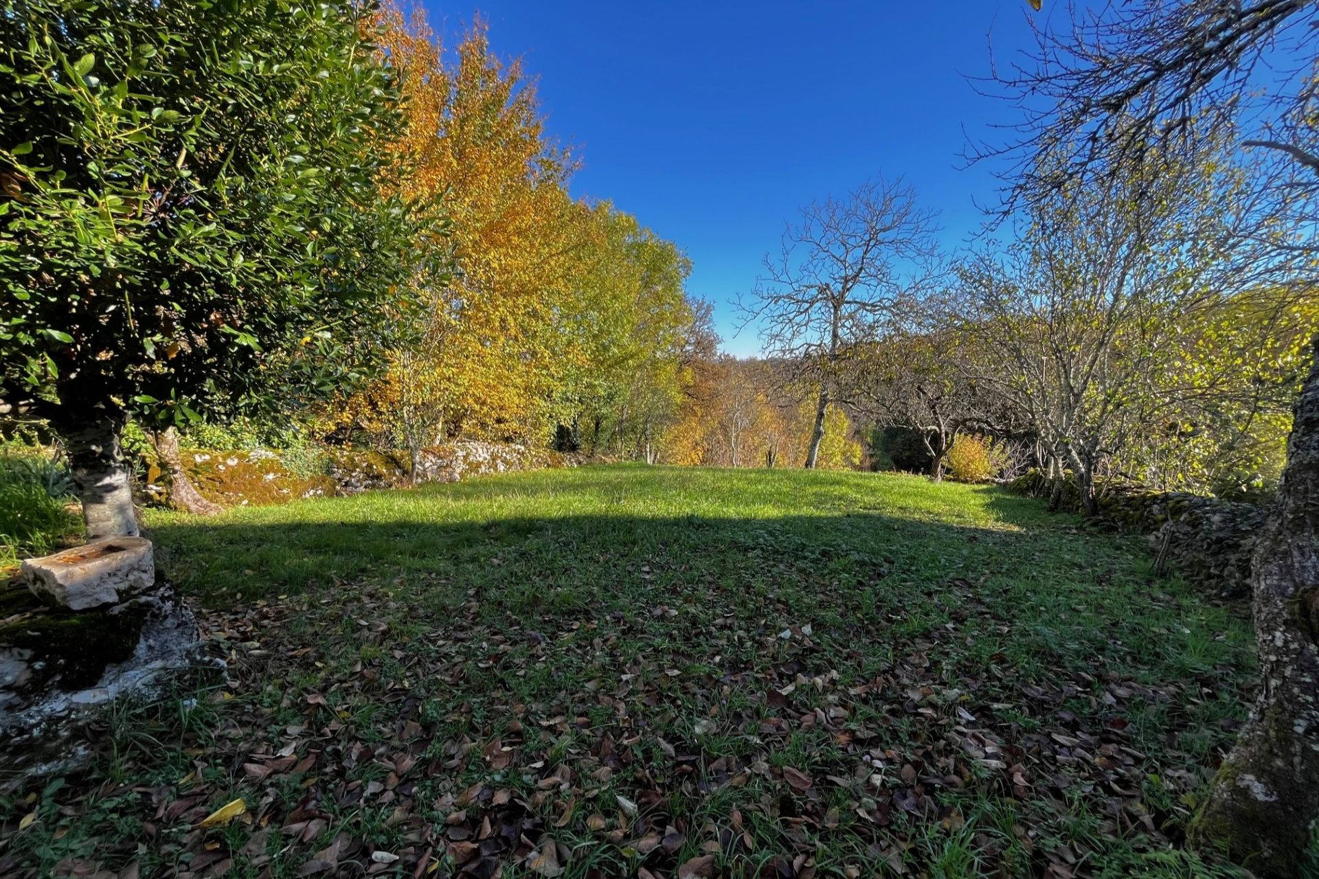 Réf. 1621 - 225.000 € – Image 2