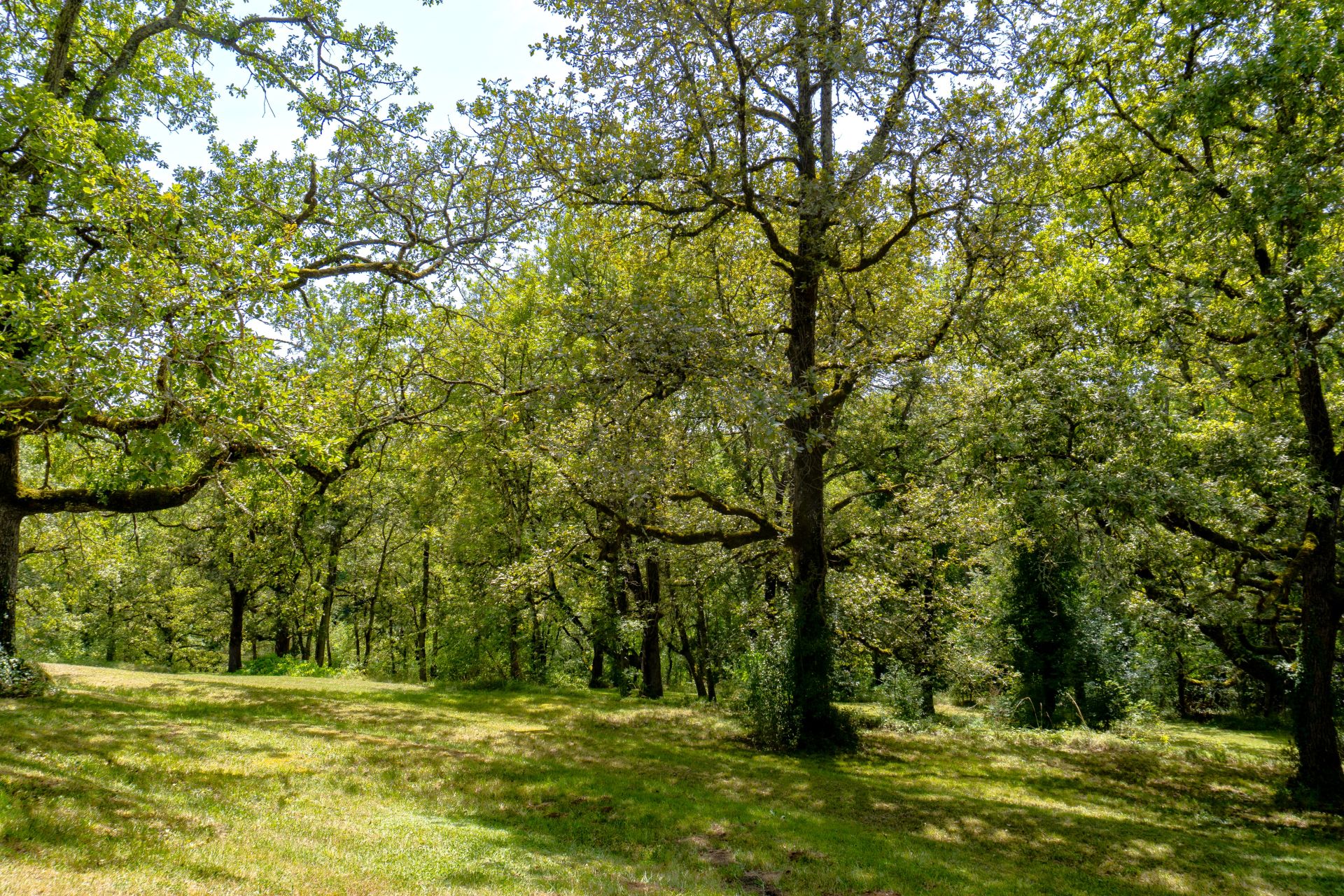 Réf. 1635 - 450.000 € – Image 22