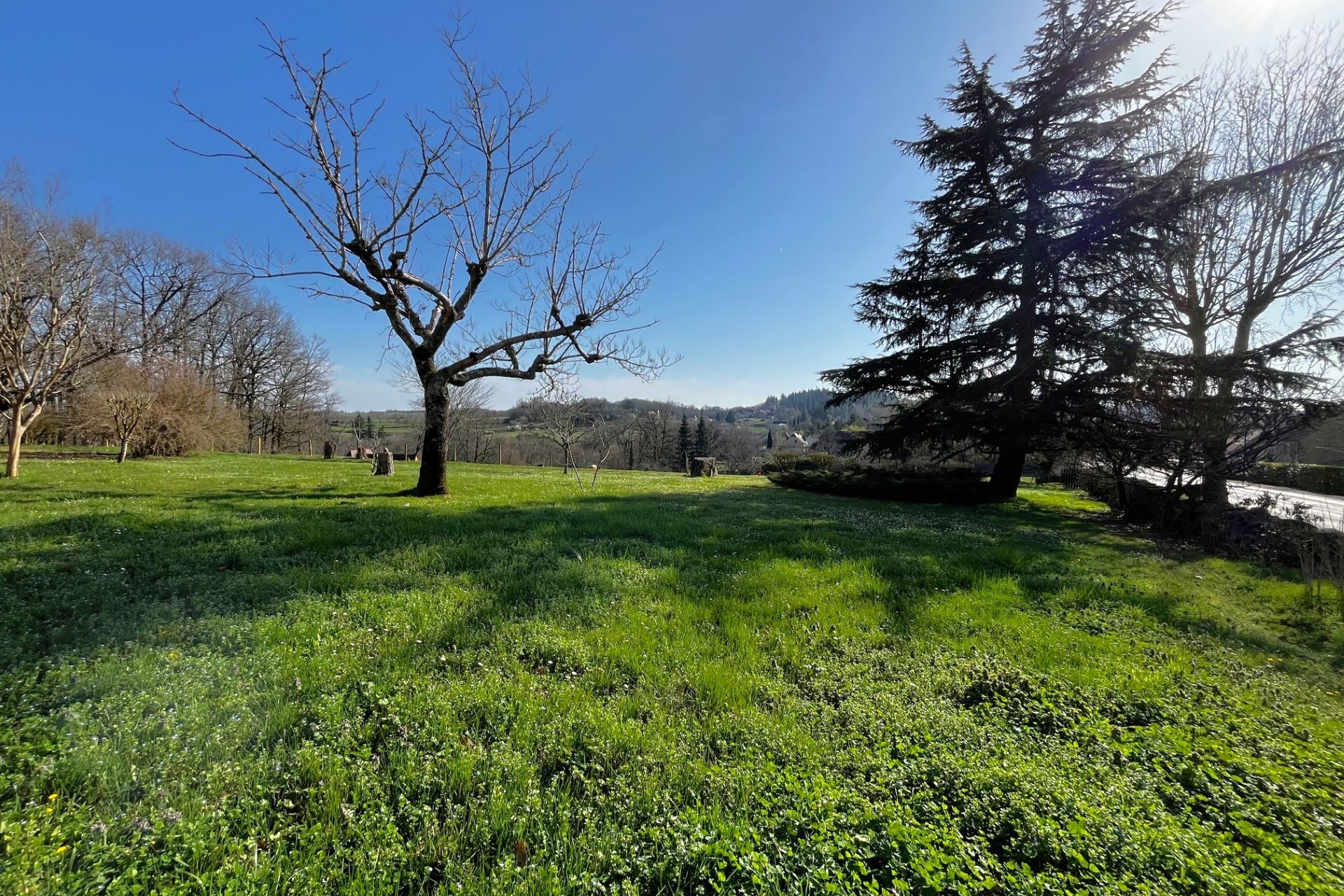 Réf. 1650 - 255.000 € – Image 2