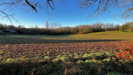 Réf. 1639 - 51.500 €